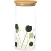 PORTA MANTIMENTO RED NATUREZA VIVA VIDRO 1,4L