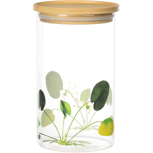 PORTA MANTIMENTO RED NATUREZA VIVA VIDRO 1L