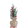 PINHO DE NATAL COM C 30X12X12                     